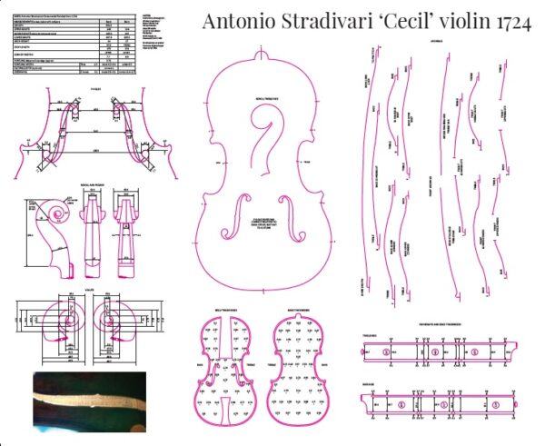 Antonio Stradivari 'Cecil' violin 1724 poster - The Strad Shop